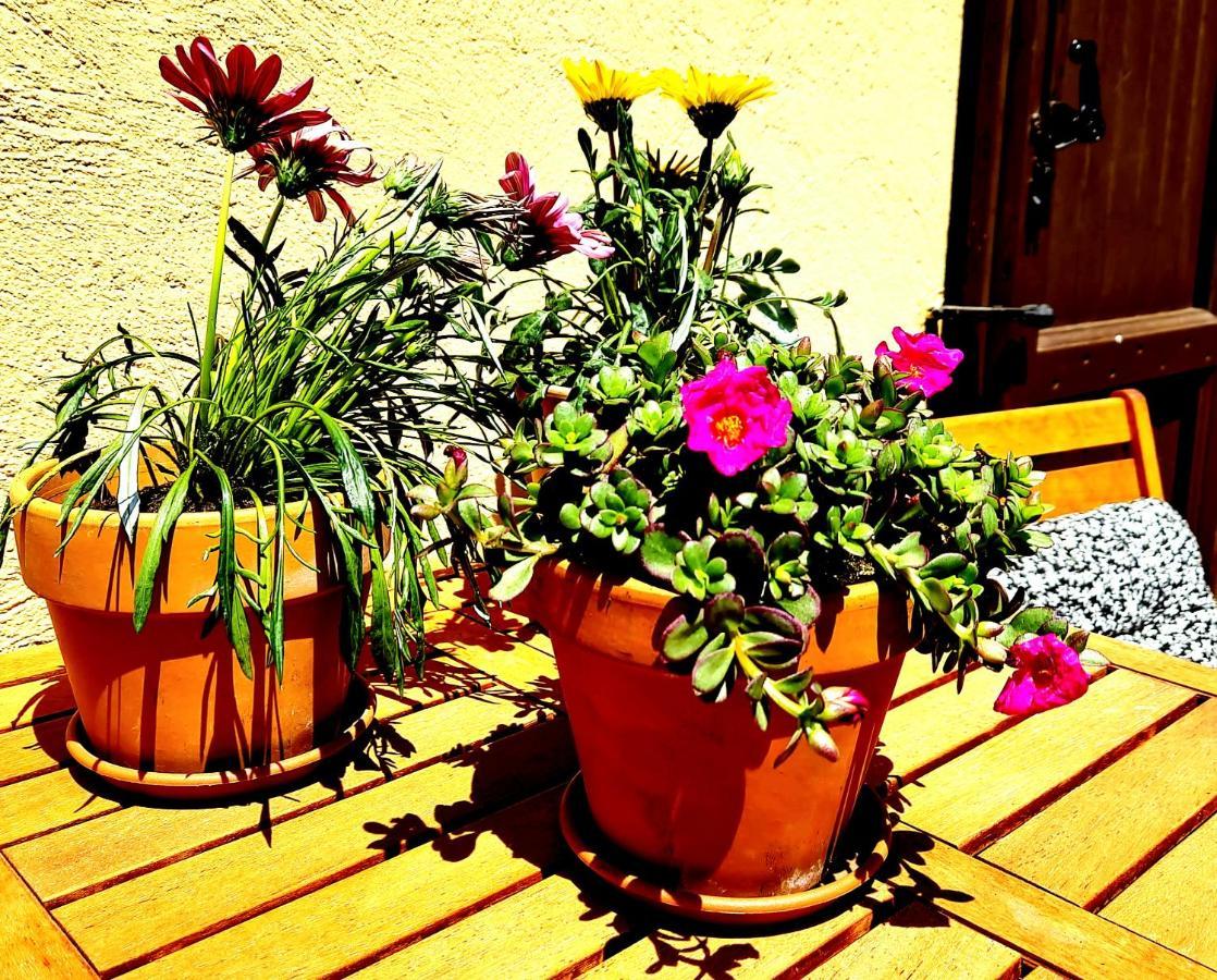 Acquadolce Holiday home *